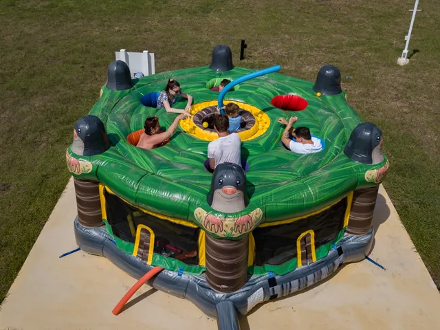 human whack a mole